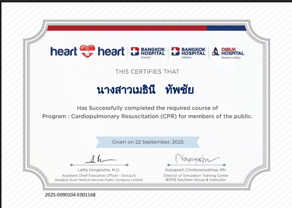 Professional childcare certification