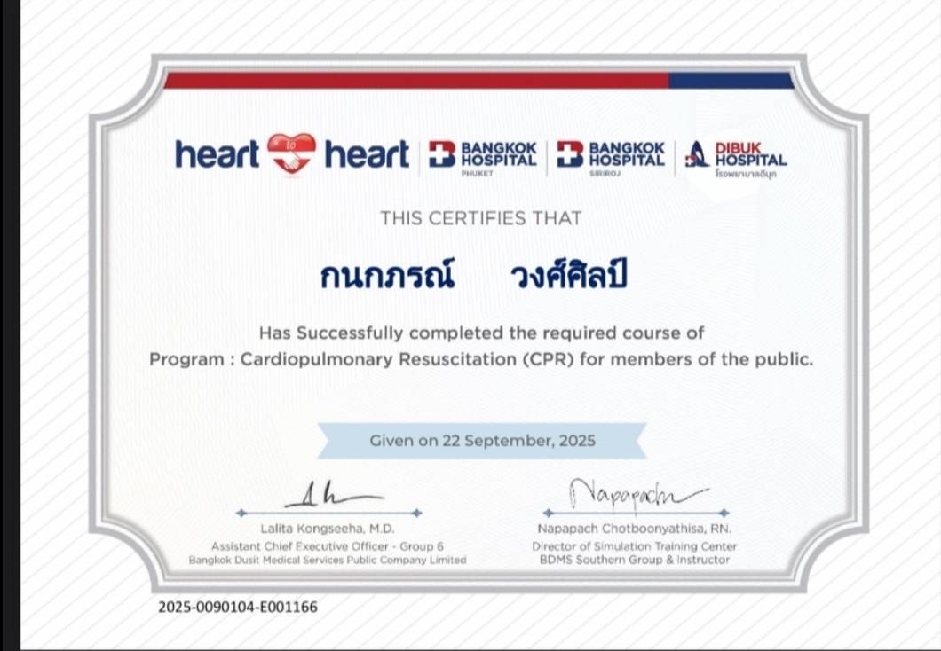 Professional childcare certification