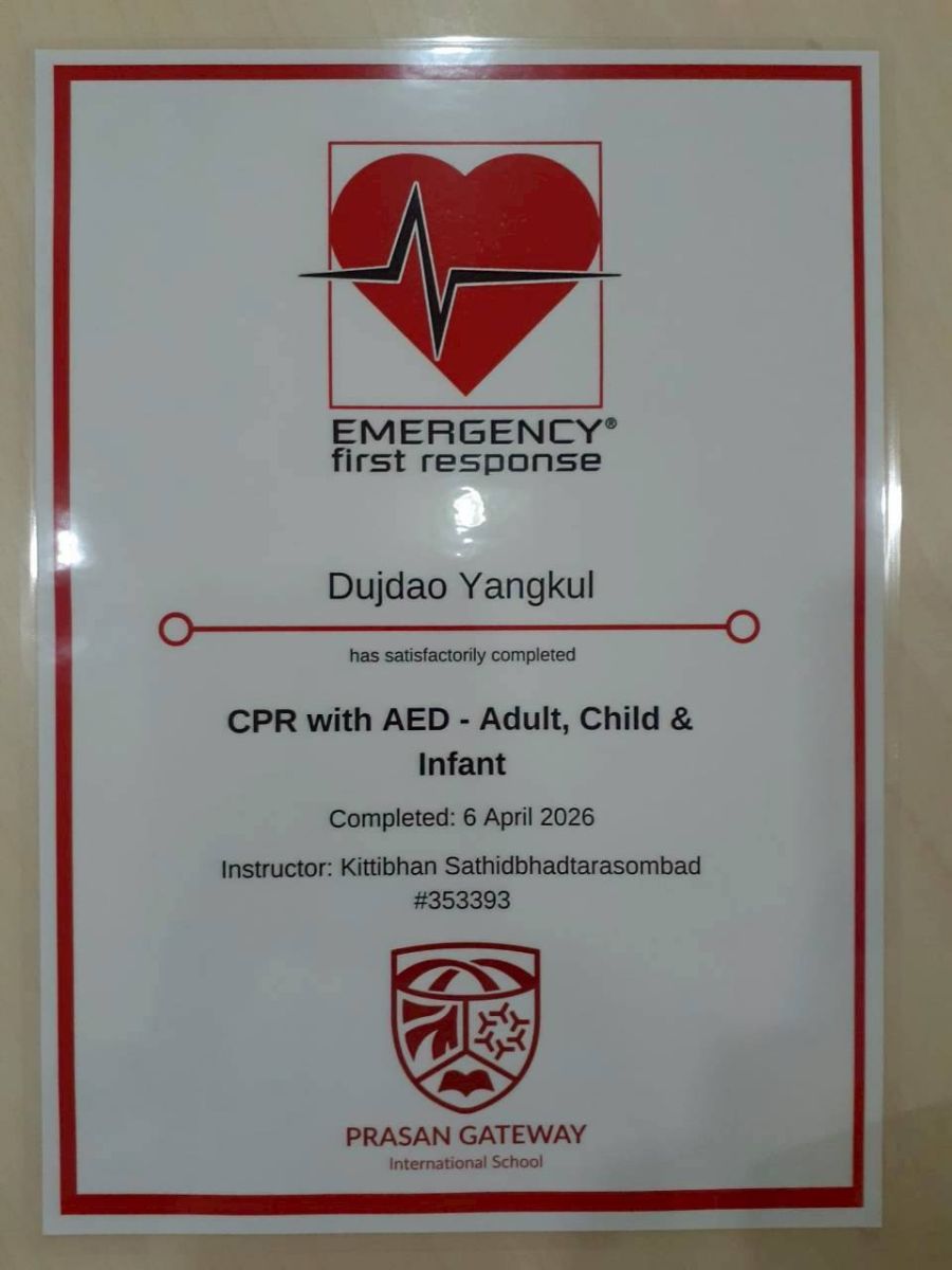 Professional childcare certification